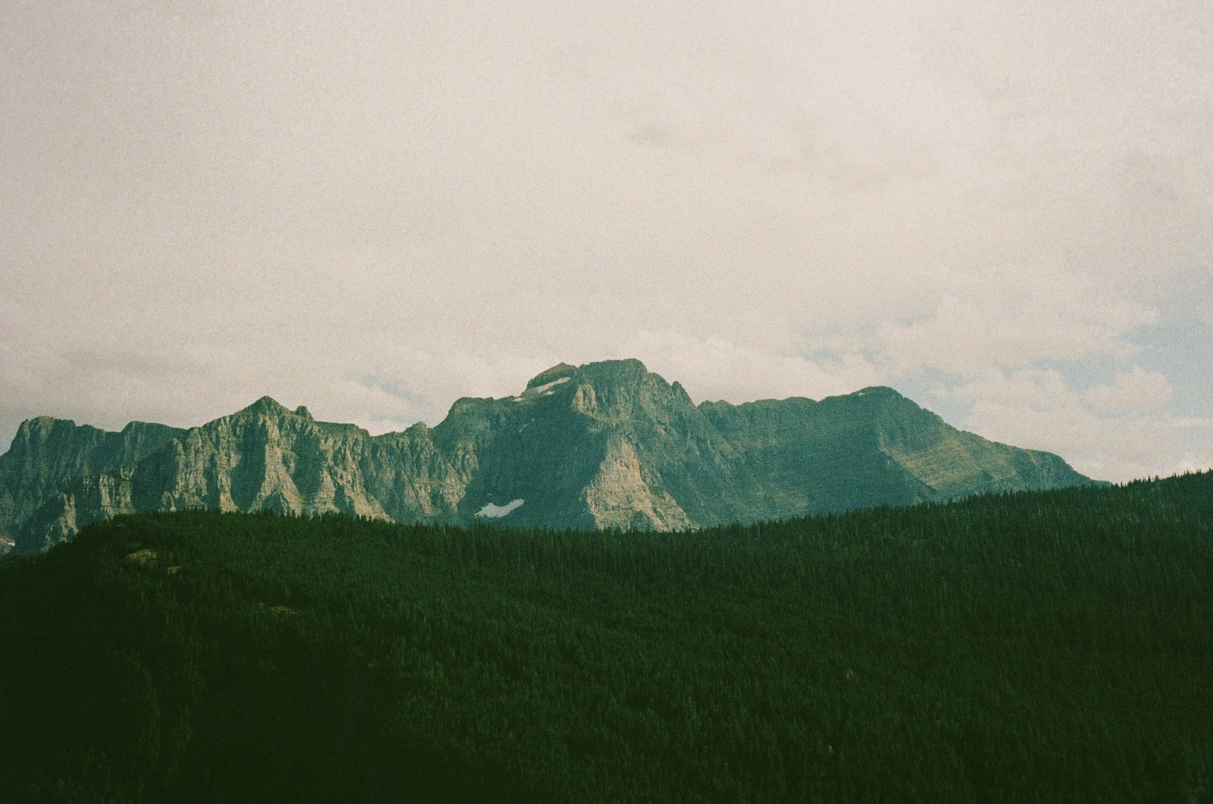 A dark green pine forest below a rugged grey mountain ridge under a pale, hazy sky.